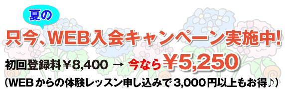 webキャンペーン実施中